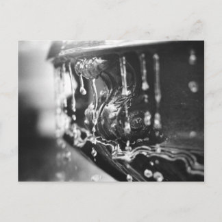 B&W-vykort för Fontän Vykort