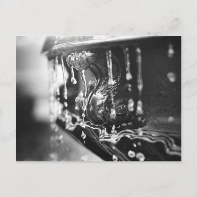 B&W-vykort för Fontän Vykort (Framsida)