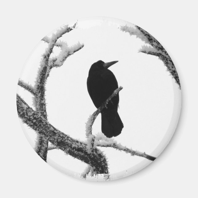 B&W Winter Raven Edgar Allan Poe Magnet (Framsidan)