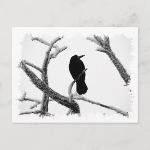 B&W Winter Raven Edgar Allan Poe Vykort