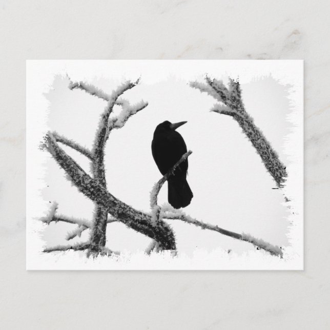 B&W Winter Raven Edgar Allan Poe Vykort (Framsida)