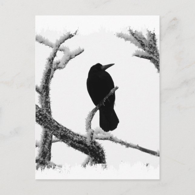 B&W Winter Raven Edgar Allan Poe Vykort (Framsida)