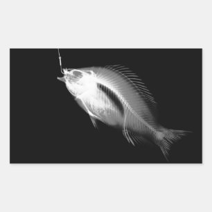 B&W X-Ray-fiskben Rektangulärt Klistermärke