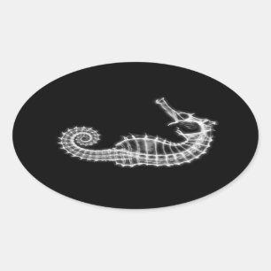 B&W X-Ray Vision Seahorse Skeleton Ovalt Klistermärke