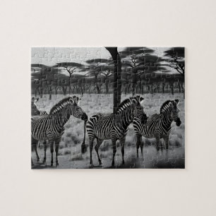 B W Zebra Oil Paint, Jigszawa Puzzle Pussel