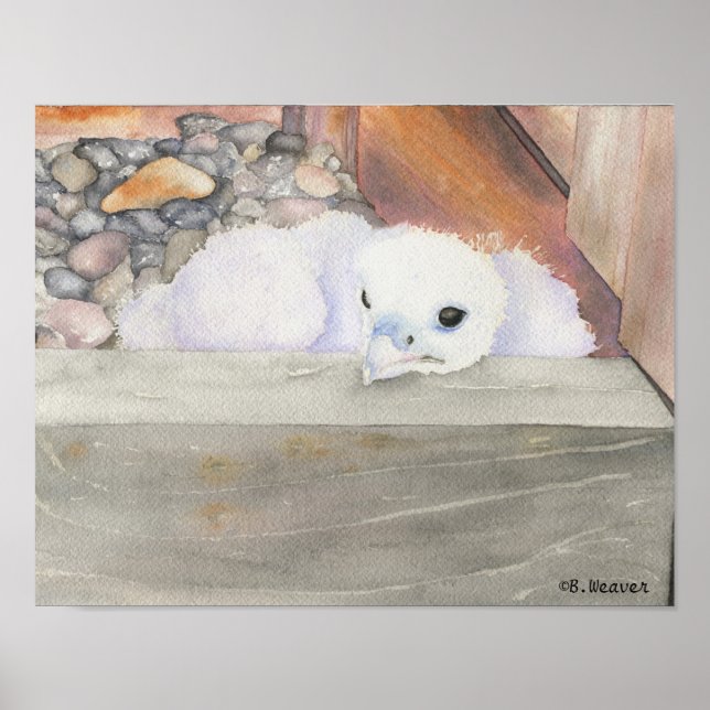 B.Weaver Orion-design 14 x 11 tum Poster (Framsidan)