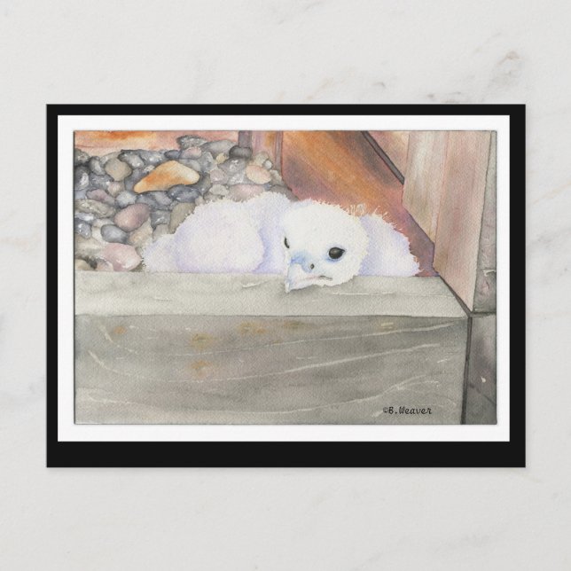 B.Weaver Orion-design vykort (Framsida)