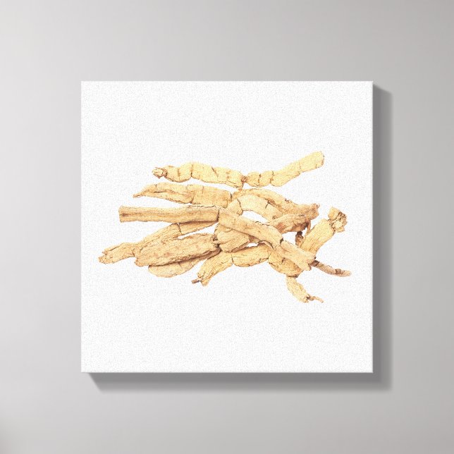 Ba Ji Tian Kanvastryck (Framsida)