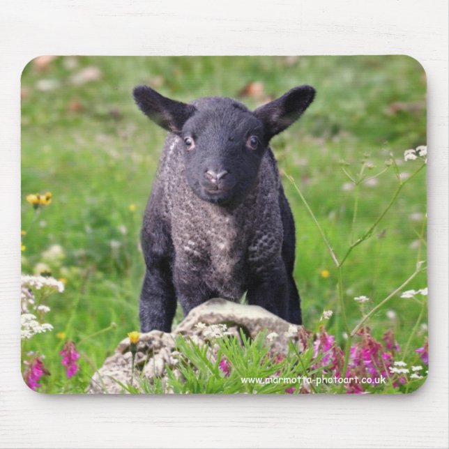 Baa-Baa Black Sheep Mousemat Musmatta (Framsidan)