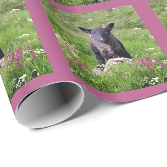 Baa Baa Black Sheep Presentpapper (Rullad Hörn)