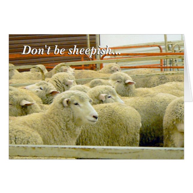 Baaaaa! - Behålla i handlag! Hälsningskort (Framsidan Horizontal)