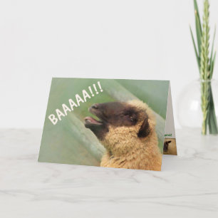 BAAAAA får komma bra Kort