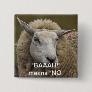 BAAAH! KNAPP