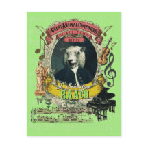 Baach Funny Sheep Underbar Animal Composer Bach