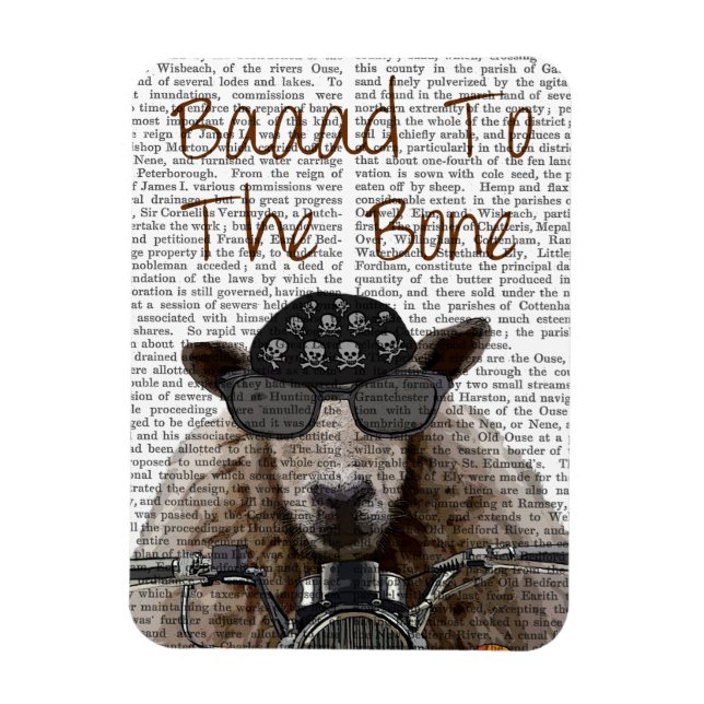 Baad till benet magnet (Vertikal)