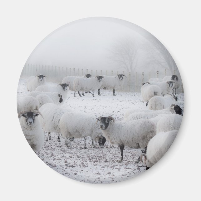 Baad Weather Magnet (Framsidan)