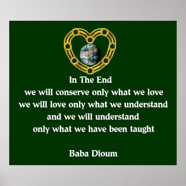 Baba Dioum Quote Poster (Framsidan)