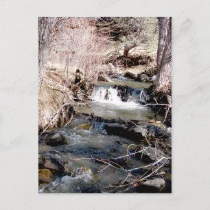 Babbling Brook Vykort