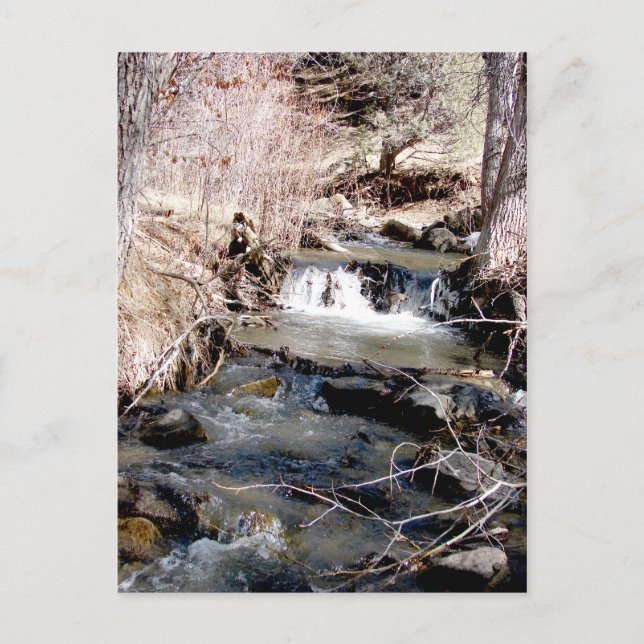 Babbling Brook Vykort (Framsida)