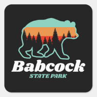 Babcock State Park Väster Virginia Bear Retro