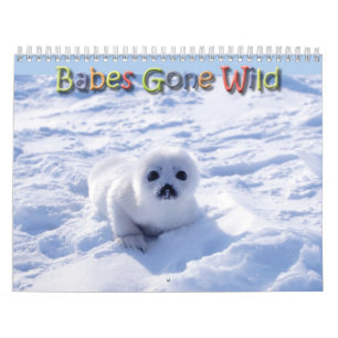 Babes Borta Vilda djur 2009-2010 Kalender