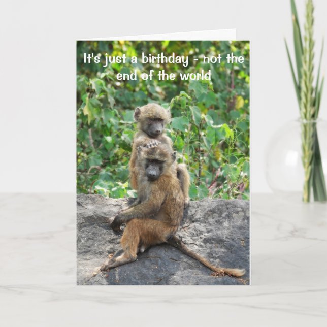 Baboon Birthday card, över backe Helgkort (Framsida)