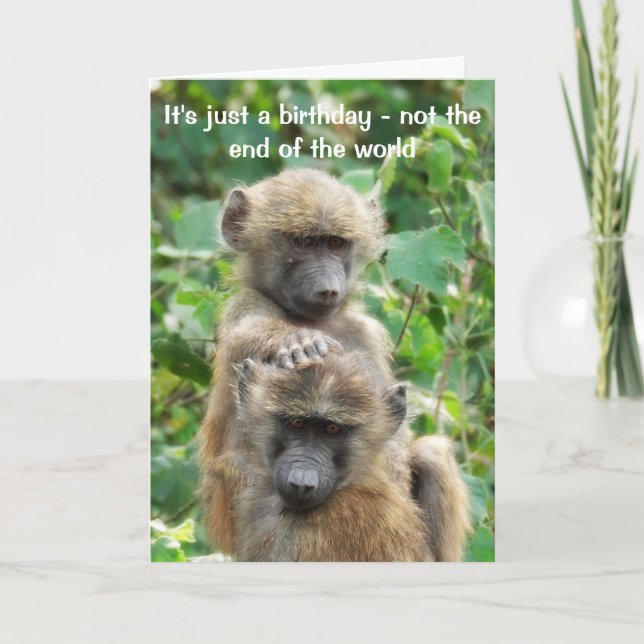 Baboon Birthday card, över backe Helgkort (Framsida)