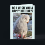 BABOON BUTT FUNNY MONKEY BUTT BIRTHDAY Card Kort<br><div class="desc">ÖNSKAR JAG ER GRATTIS PÅ FÖDELSEDAGEN? ÄR BABOON BUTT RED & SWOLLEN? JA OCH JA! GRATTIS PÅ FÖDELSEDAGEN! ETT KORT SOM DE KOMMER ATT BEHÅLLA FRAMFÖR ALLT.</div>