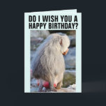 BABOON BUTT FUNNY MONKEY BUTT BIRTHDAY Card Kort<br><div class="desc">ÖNSKAR JAG ER GRATTIS PÅ FÖDELSEDAGEN? ÄR BABOON BUTT RED & SWOLLEN? JA OCH JA! GRATTIS PÅ FÖDELSEDAGEN! ETT KORT SOM DE KOMMER ATT BEHÅLLA FRAMFÖR ALLT.</div>
