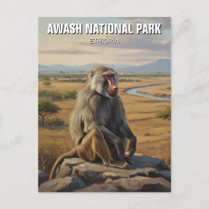 Baboon i Awash National Park Etiopien Travel Vykort