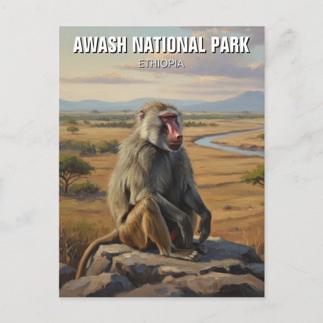 Baboon i Awash National Park Etiopien Travel Vykort (Framsida)