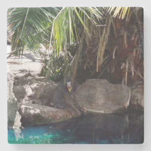Baboon in Paradise, Stone Underlägg