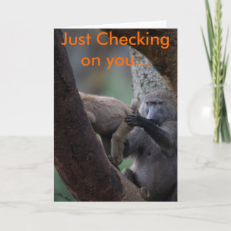 Baboon Inspection, bara kolla på dig... Kort