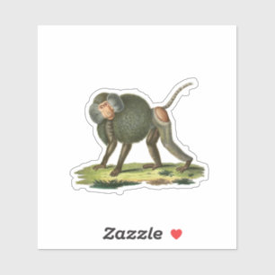 Baboon Klistermärken