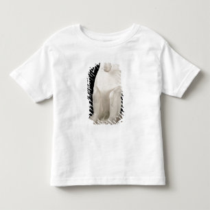 Baboon mellersta kungarike, eventuellt 7:edynasti t shirt