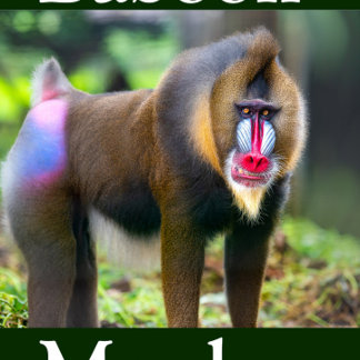 Baboon Monkey Pussel