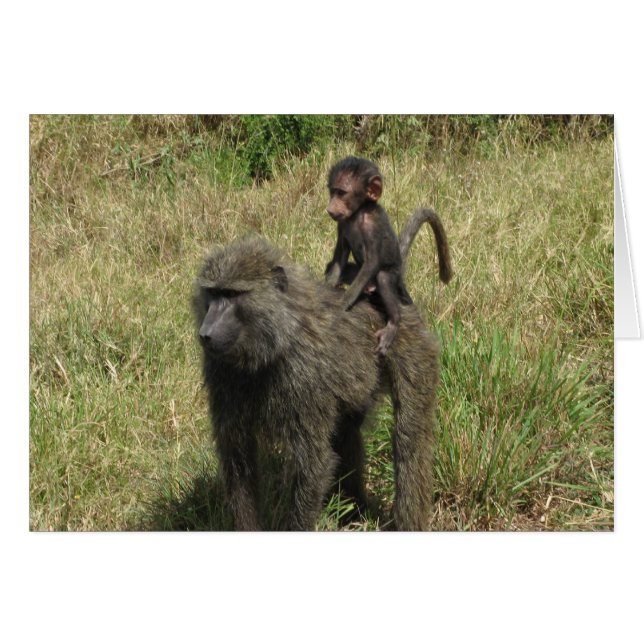 Baboon mor & baby hälsningskort (Framsidan Horizontal)