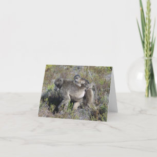 Baboon Notecard Kort