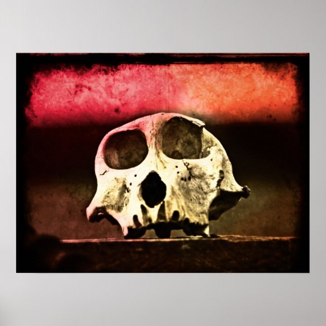 Baboon Skull Sunset Art Poster (Framsidan)