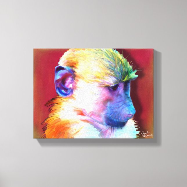Baboon Stretched Canvas 12x (Framsida)
