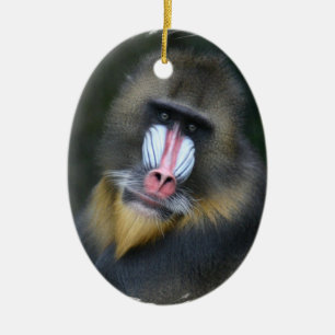 Baboonansikteprydnad Julgransprydnad Keramik