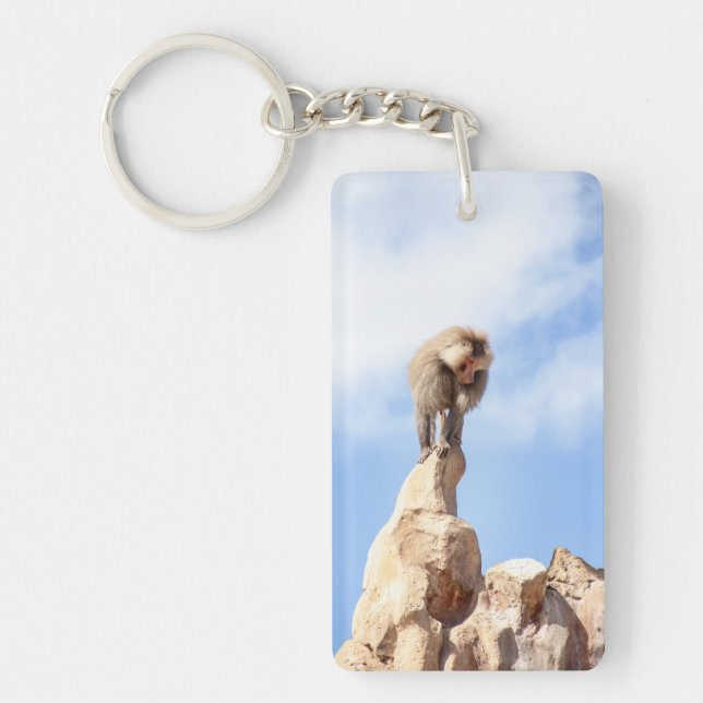 Baboonapan ovanpå berget (Framsidan)