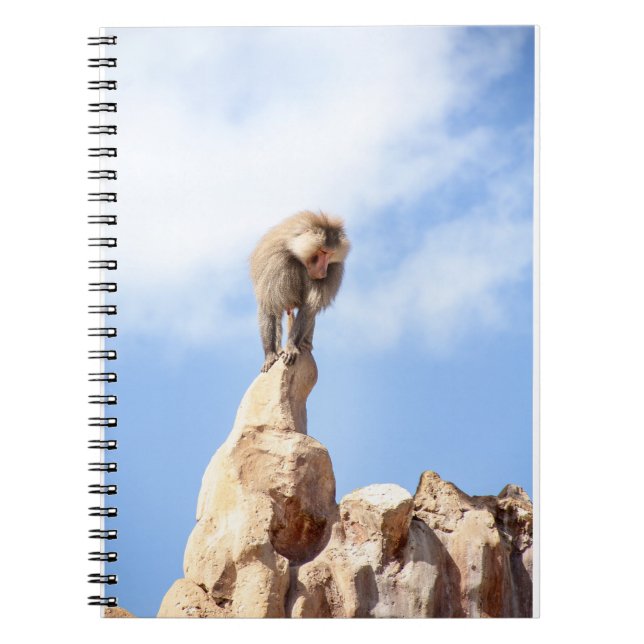 Baboonapan ovanpå berget anteckningsbok (Framsidan)
