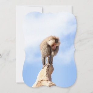 Baboonapan ovanpå berget anteckningskort