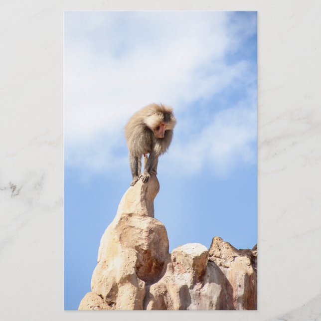 Baboonapan ovanpå berget brevpapper (Framsida)
