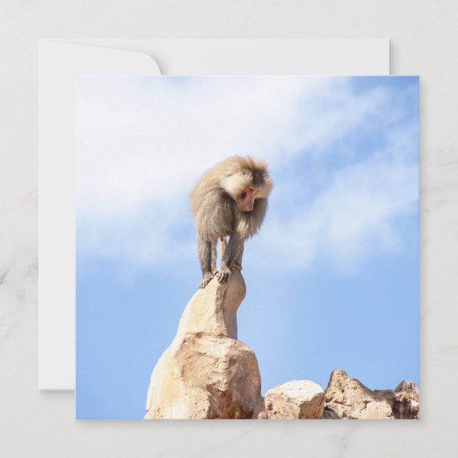 Baboonapan ovanpå berget julkort (Framsida)