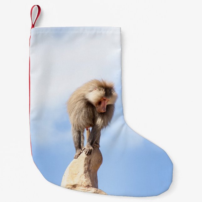 Baboonapan ovanpå berget liten julstrumpa (Framsidan)
