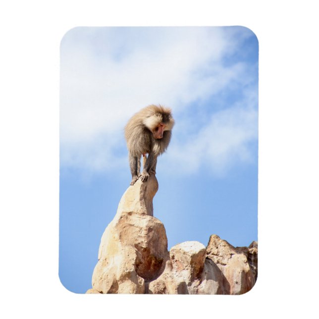 Baboonapan ovanpå berget magnet (Vertikal)