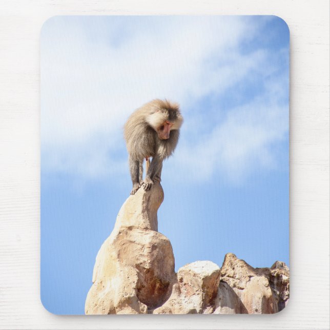 Baboonapan ovanpå berget musmatta (Framsidan)