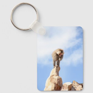 Baboonapan ovanpå berget nyckelring